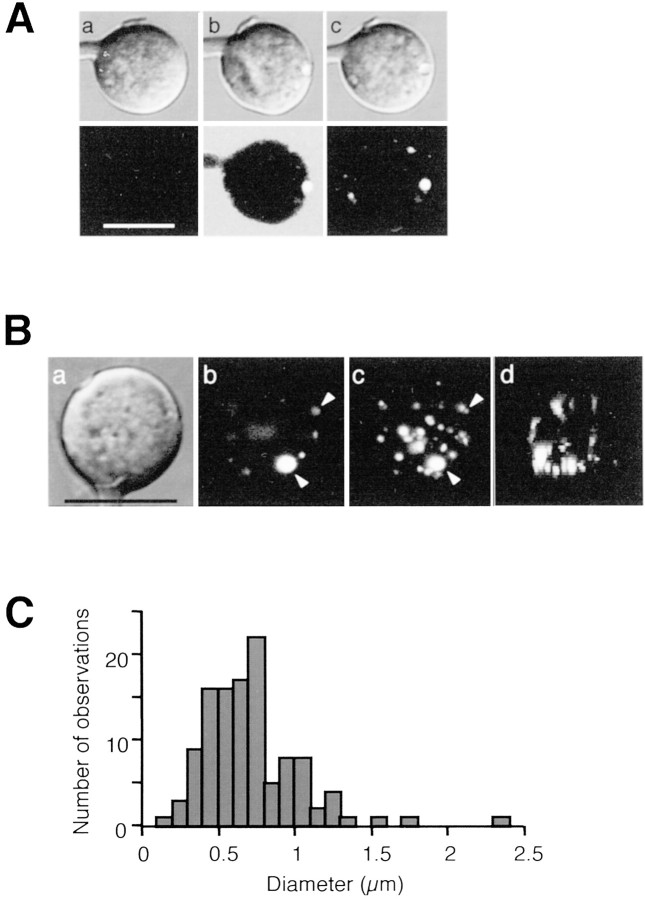 Fig. 2.