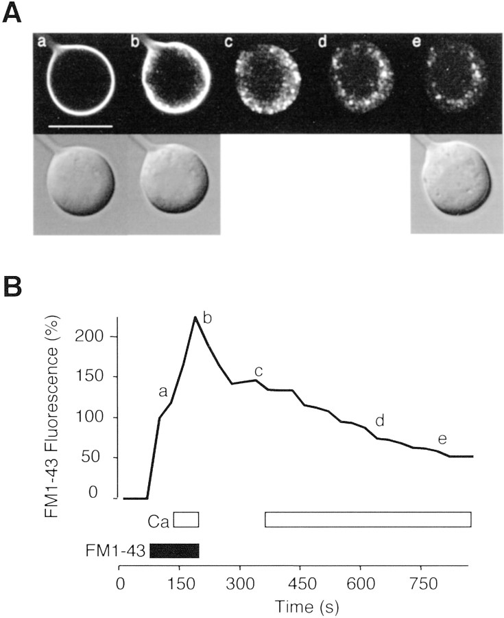 Fig. 9.