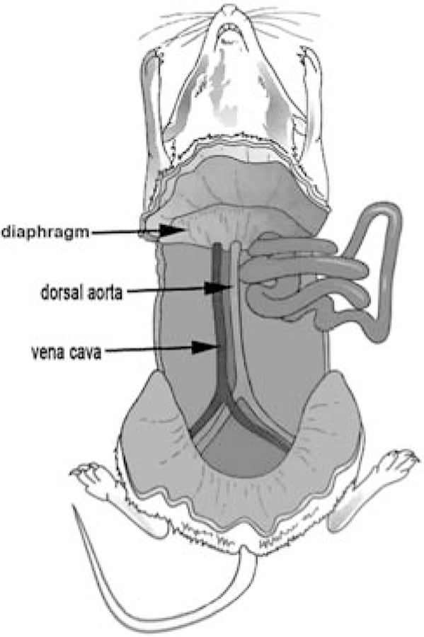 FIGURE 1.