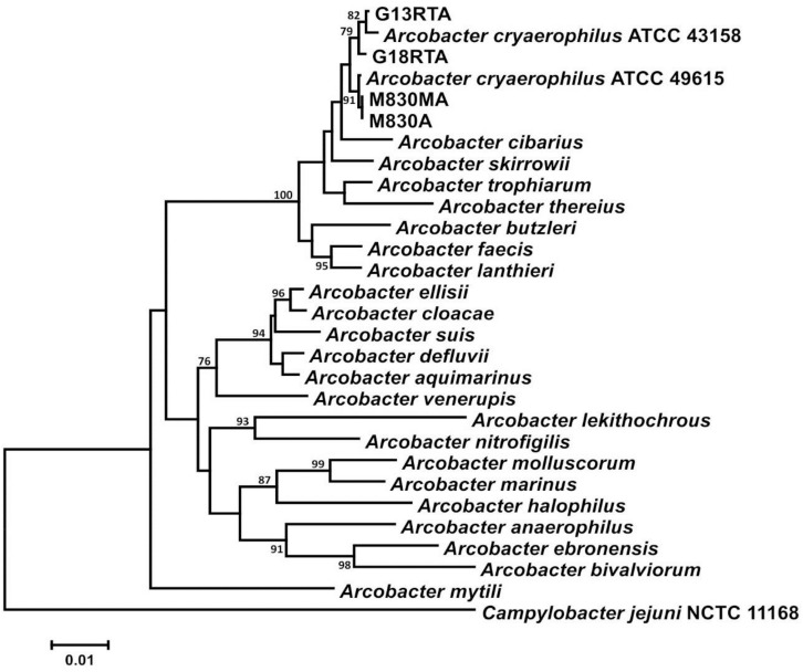 FIGURE 1