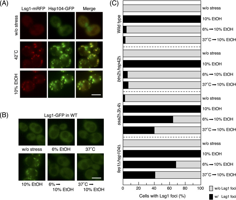 FIG 6