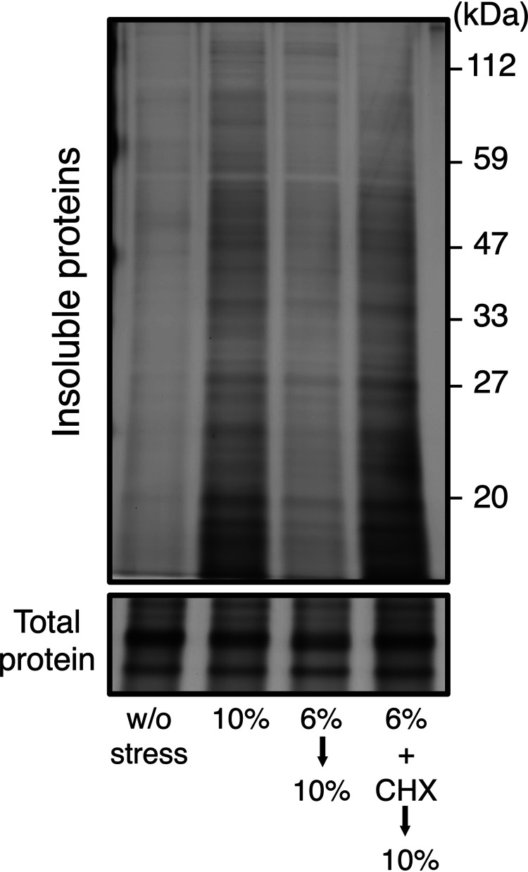 FIG 2