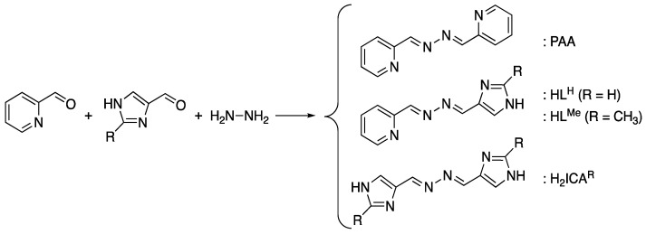 Scheme 1