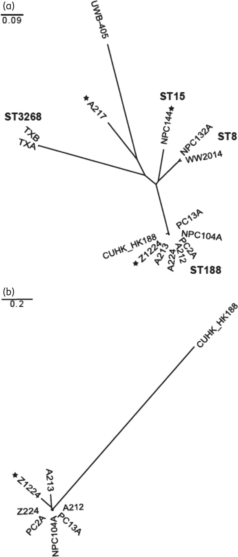 Figure 1.