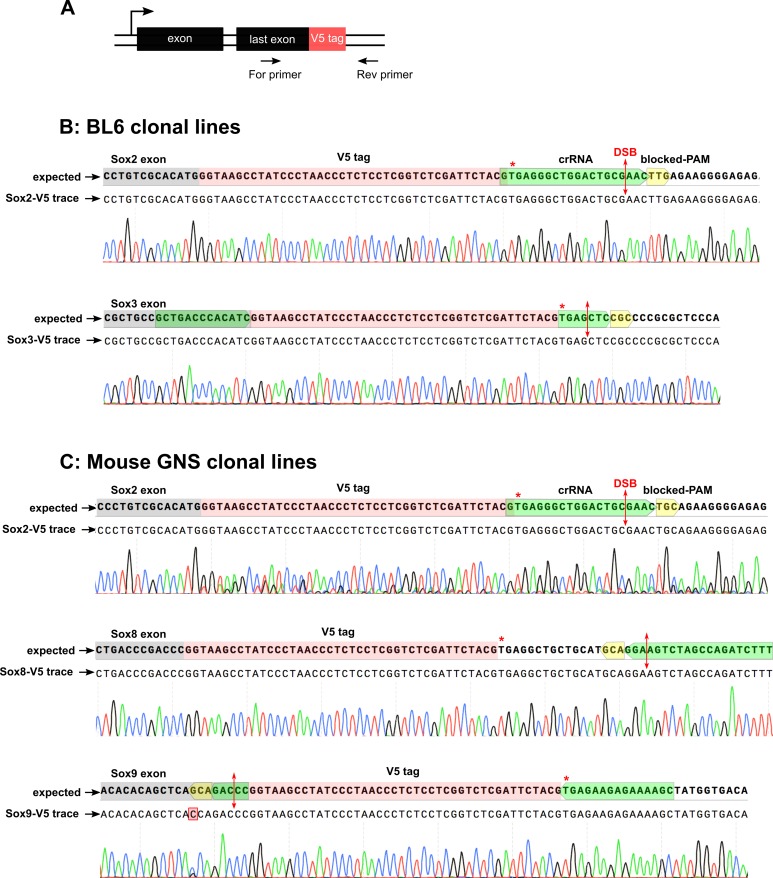 Figure 2—figure supplement 1.