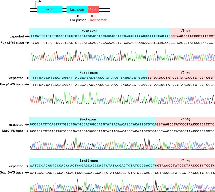 Figure 4—figure supplement 3.