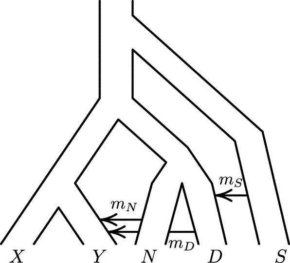 Fig. 8