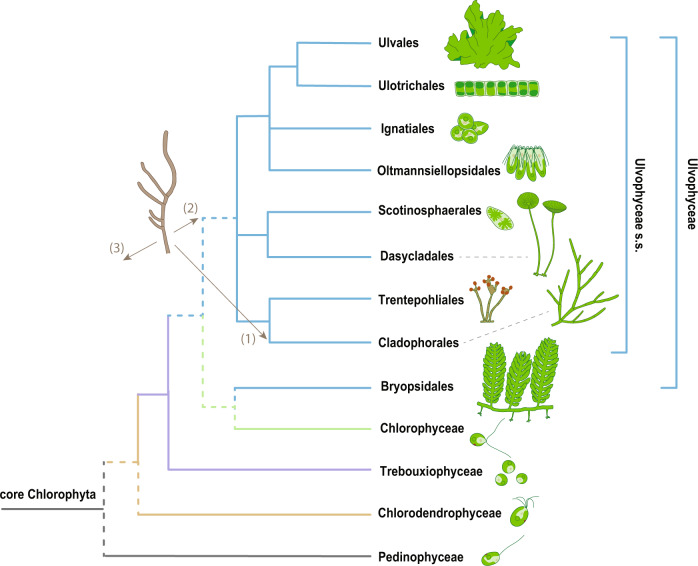 Fig. 1