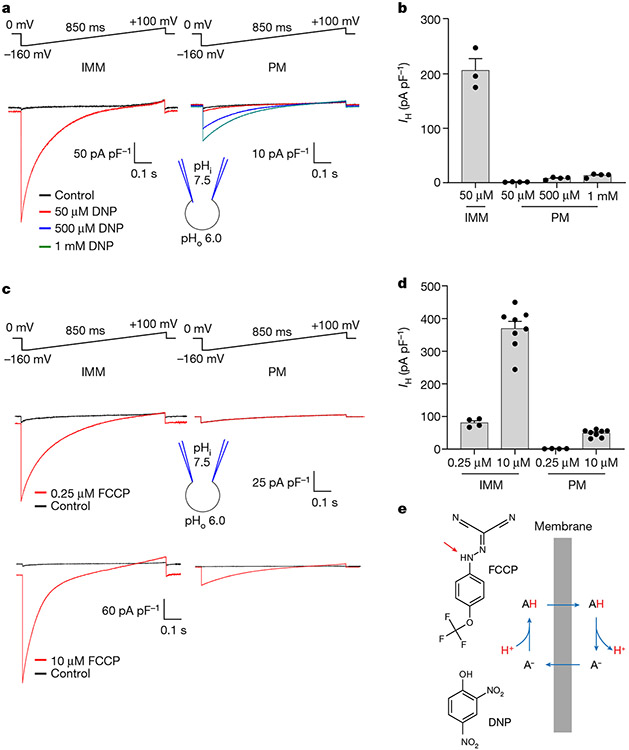 Fig. 1 ∣