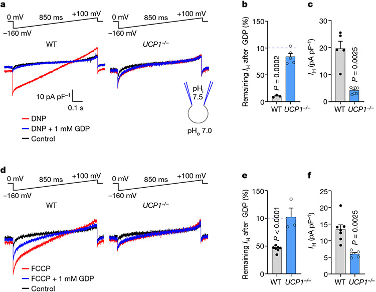 Fig. 3 ∣