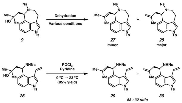 Scheme 8