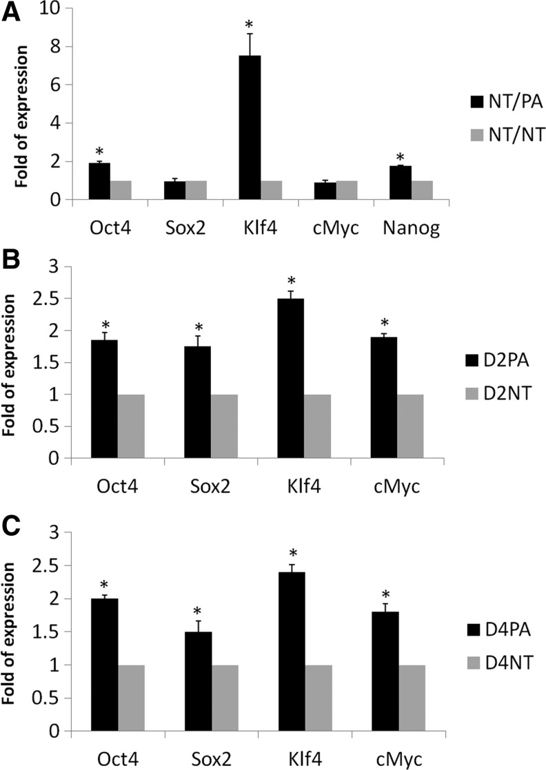 FIG. 2.