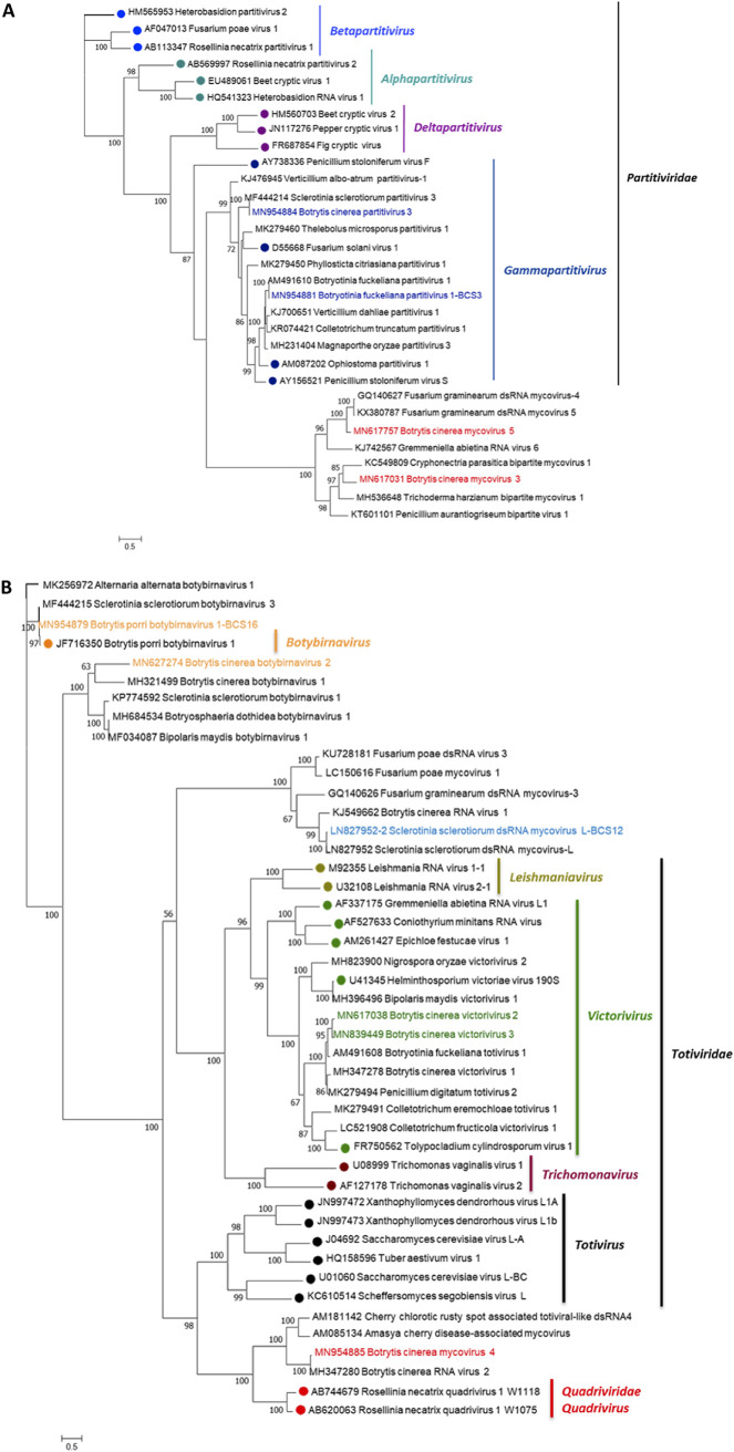 FIG 11