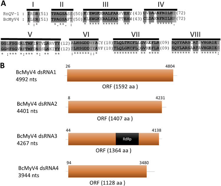 FIG 10