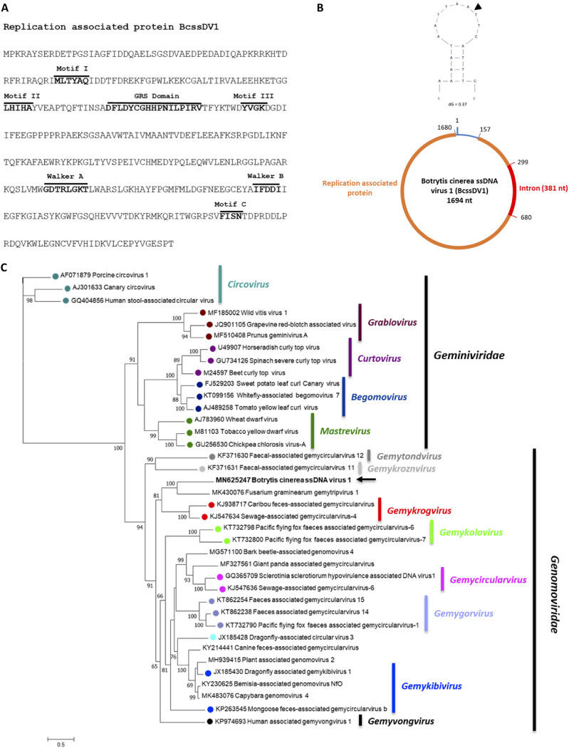 FIG 12