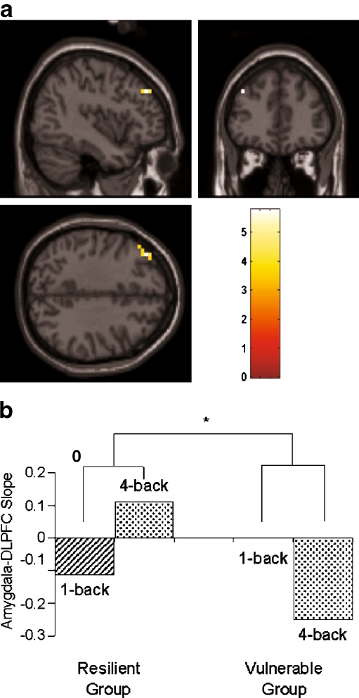 Fig. 7