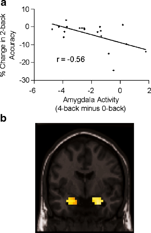 Fig. 5