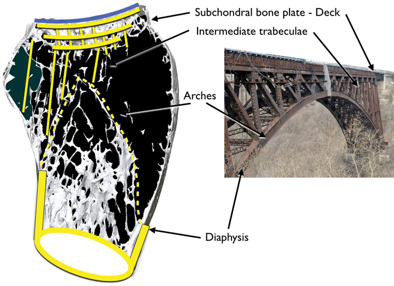 Fig. 13