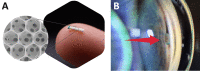 Fig. 5