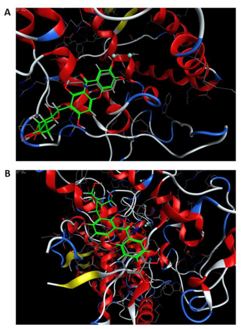 Figure 6