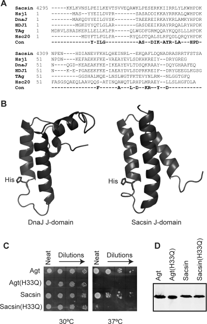 Figure 4.