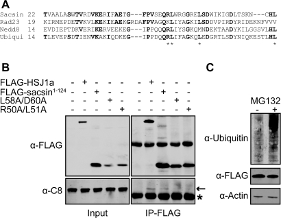 Figure 3.