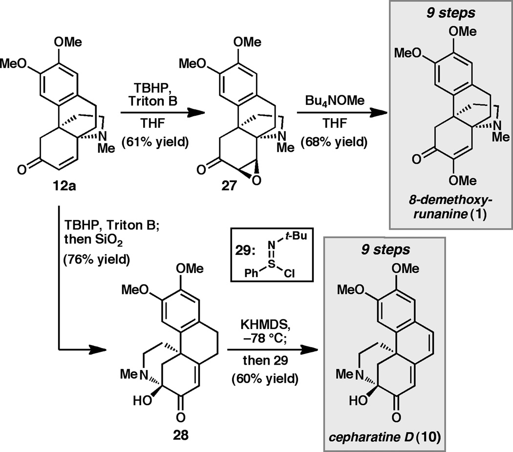 Scheme 3