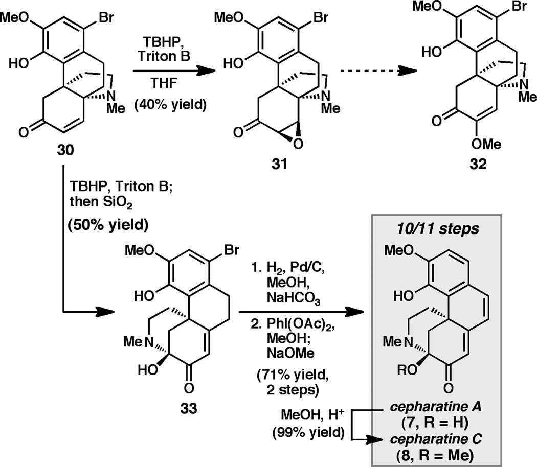 Scheme 4