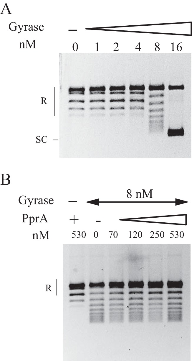 FIG 5 