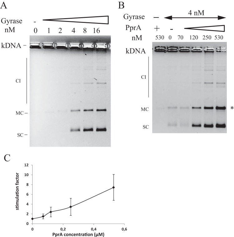 FIG 6 