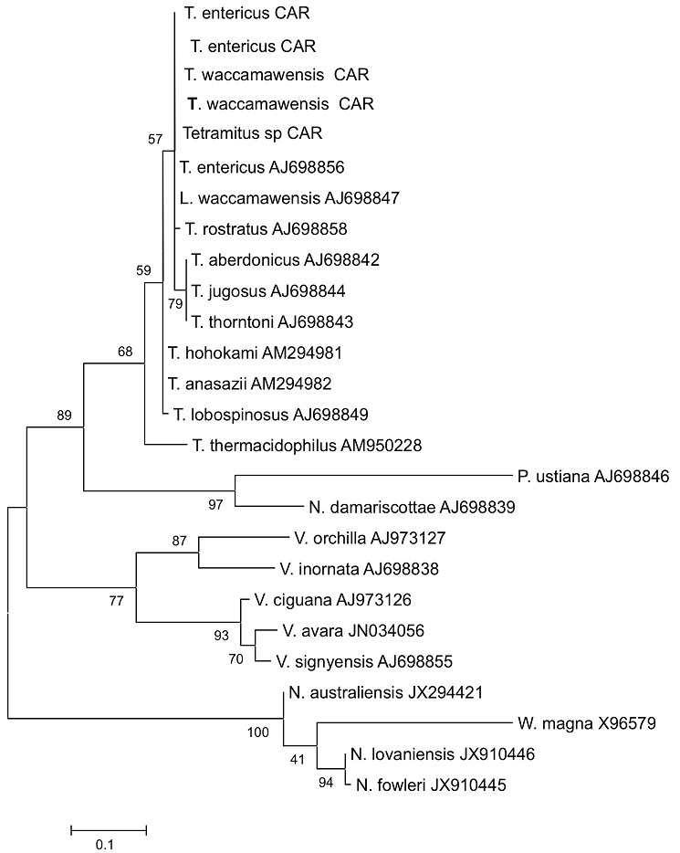 Figure 2