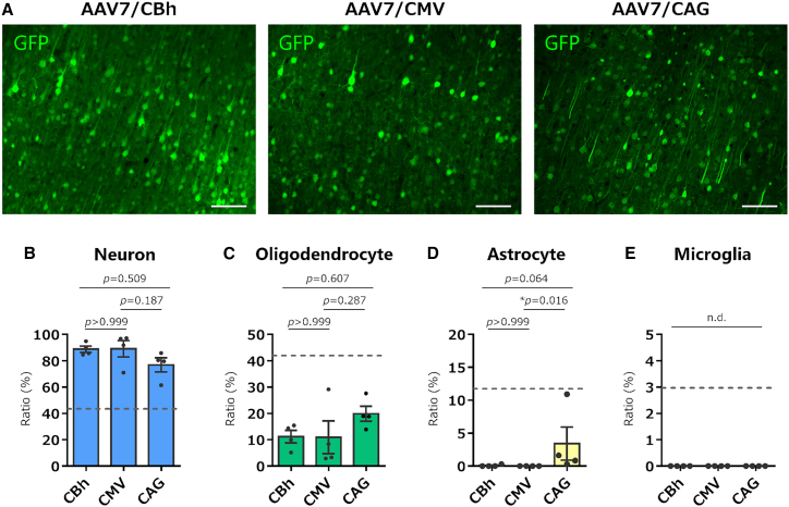 Figure 4