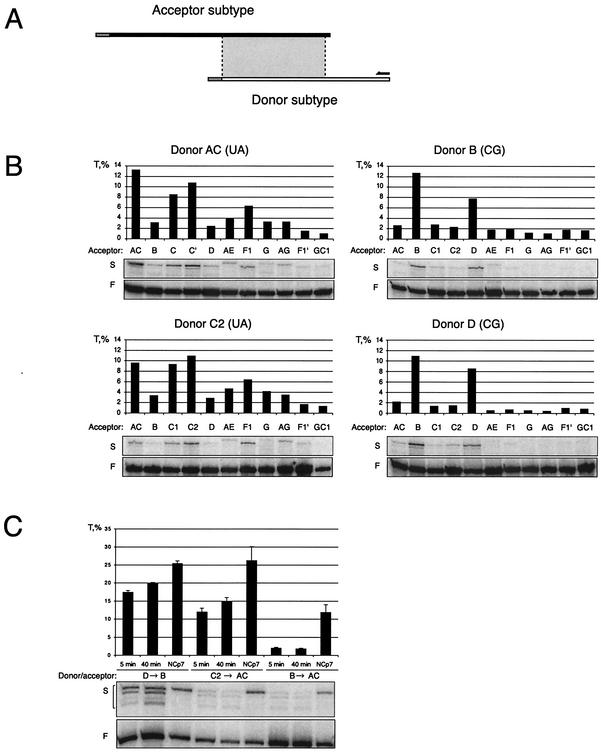 FIG. 4.