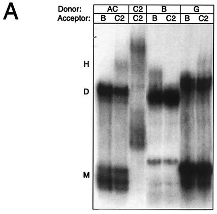 FIG. 3.