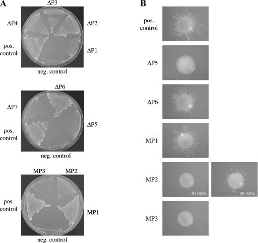 FIG. 2.