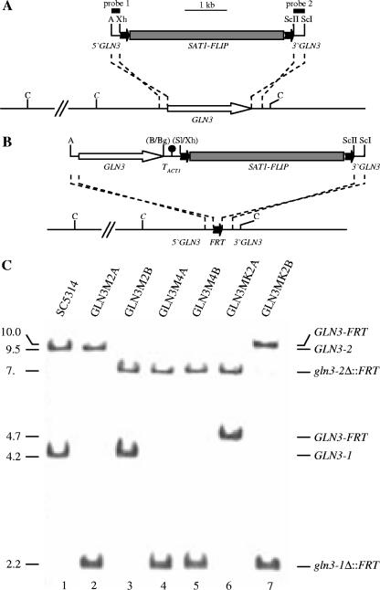 FIG. 3.