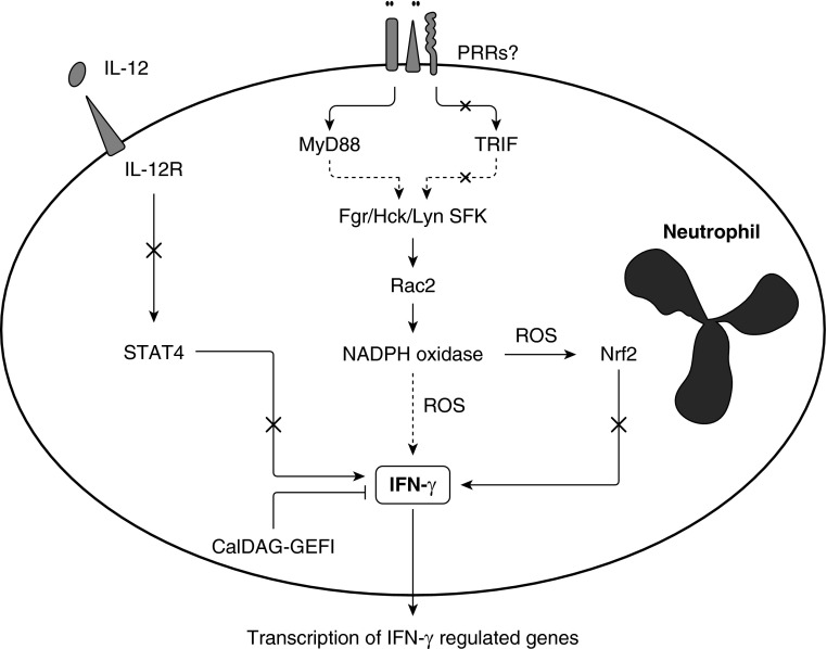 Figure 6.