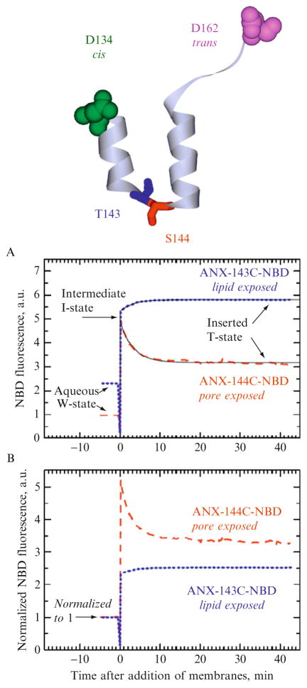 Figure 2.6