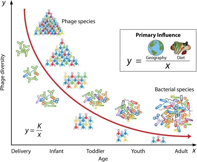 FIG 10