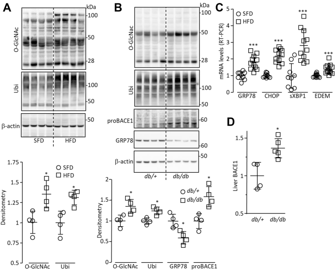 Figure 6