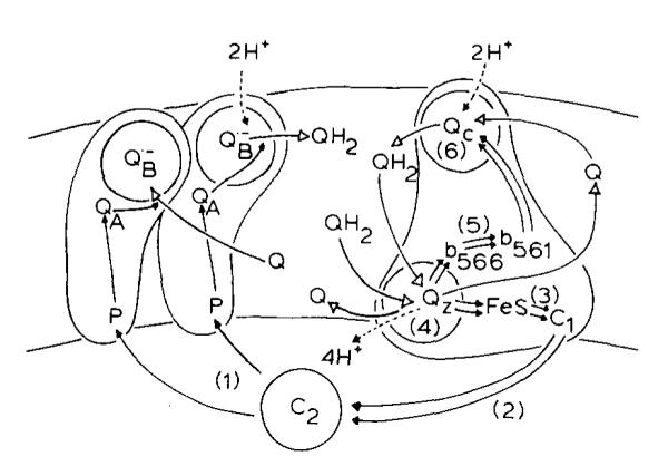 SCHEME II