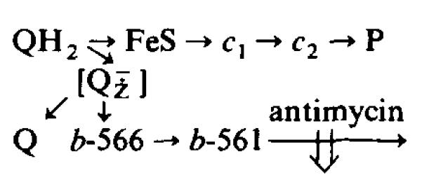 SCHEME I