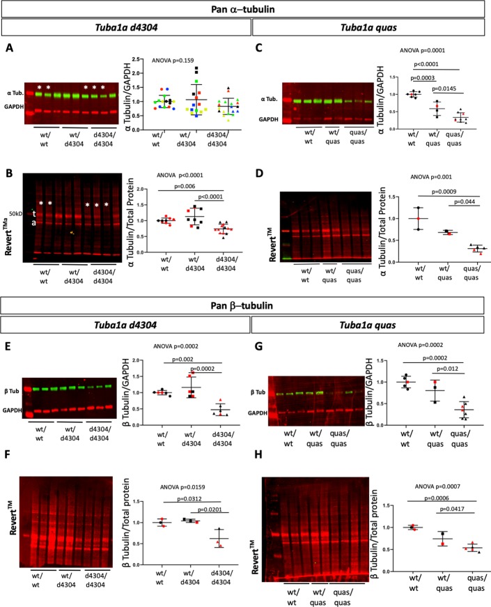 Fig 10