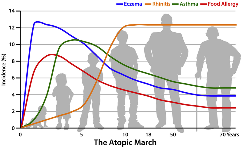 FIG 1.