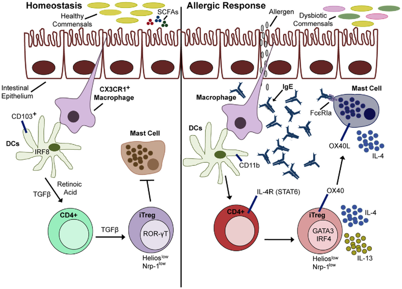 FIG 7.