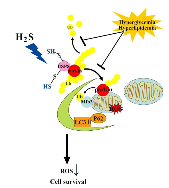 Figure 7.