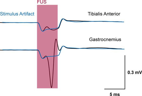 Fig. 10.