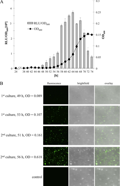 FIG. 2.