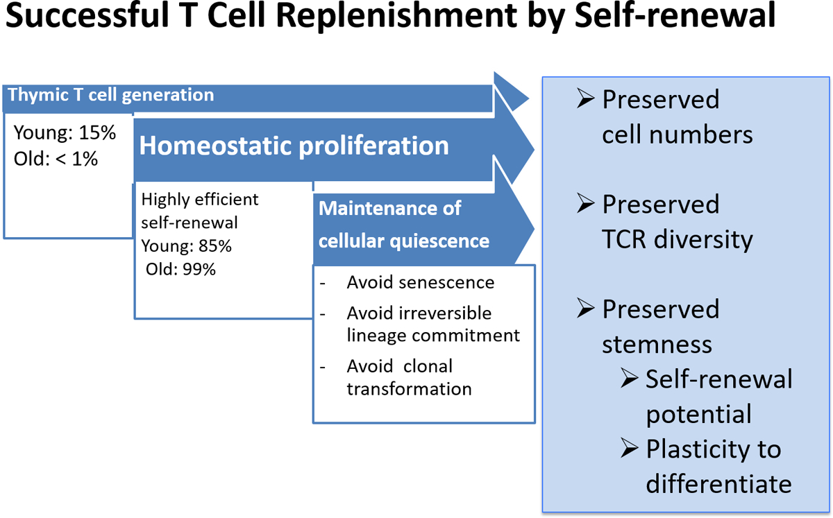 Figure 1 |