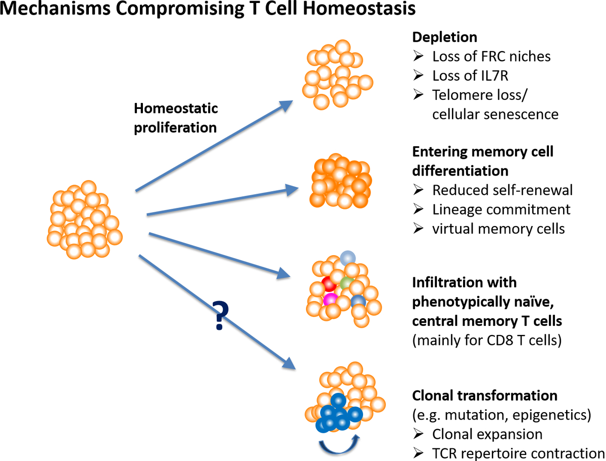 Figure 2 |